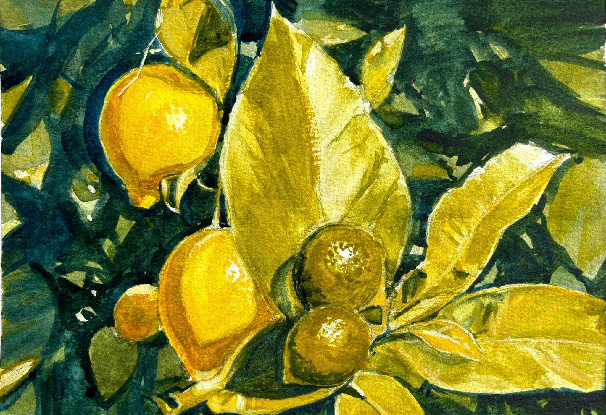 Studio post DVrr4yBgYU8