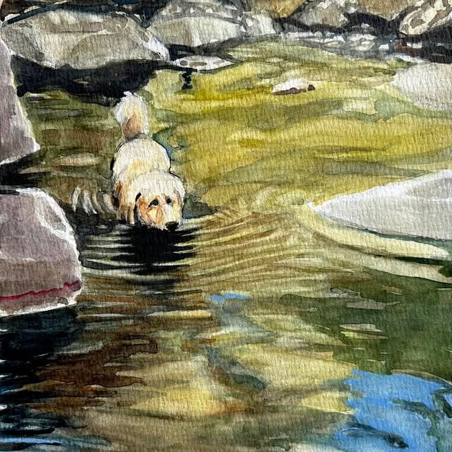 Studio post DW0RcPHlGvJ